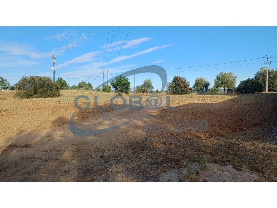 Terreno Venda Torres Novas