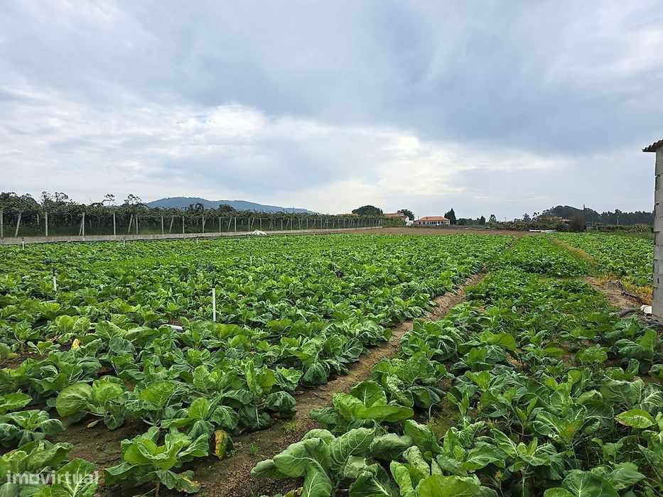 Terreno  para venda — Fornelos, Braga
