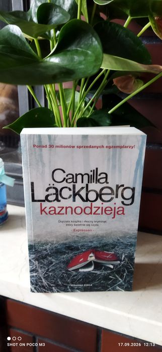 Kaznodzieja, Camilla Lackberg