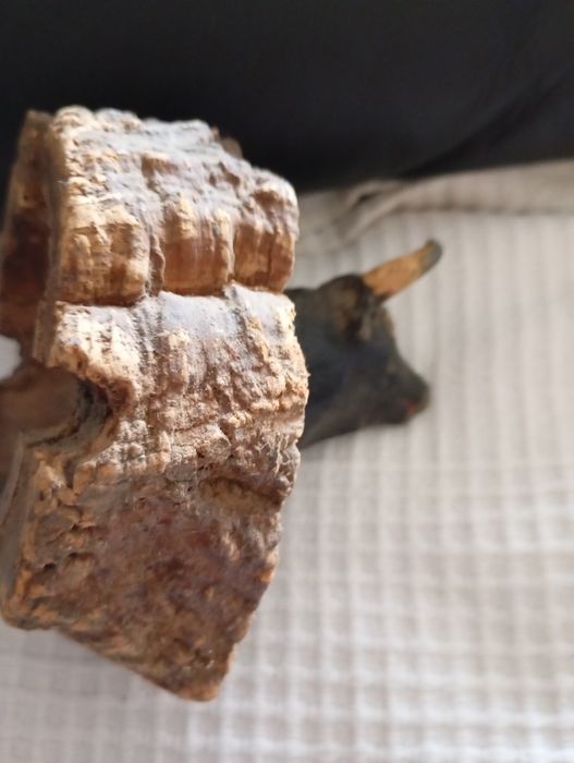 Cabeça de touro em ferro e cortiça