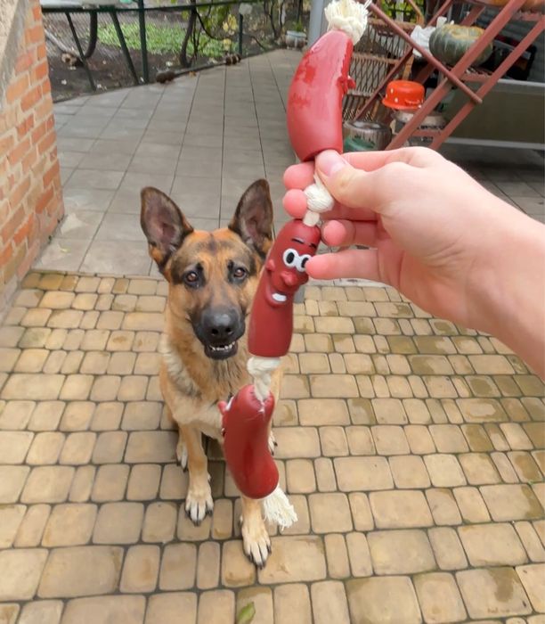 Іграшка-потягушка для собак.іграшка сосиска .Іграшка сосиска собаці