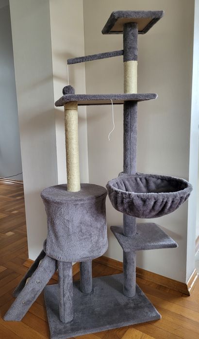 Drapak dla małego kotka