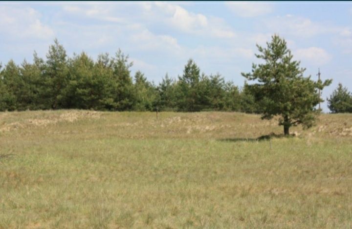 Продажа участка Лизагубовка