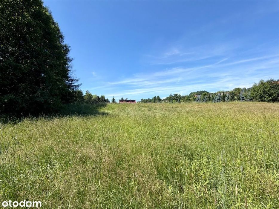Działka budowlana 1093 m² | Górki Wielkie - Widok 4