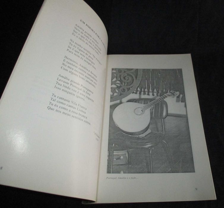 Livro Recordar e sentir é viver Cecília Cristóvão Camilo "A Cilinha"