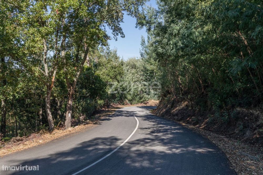 Terreno em Folques, Arganil
