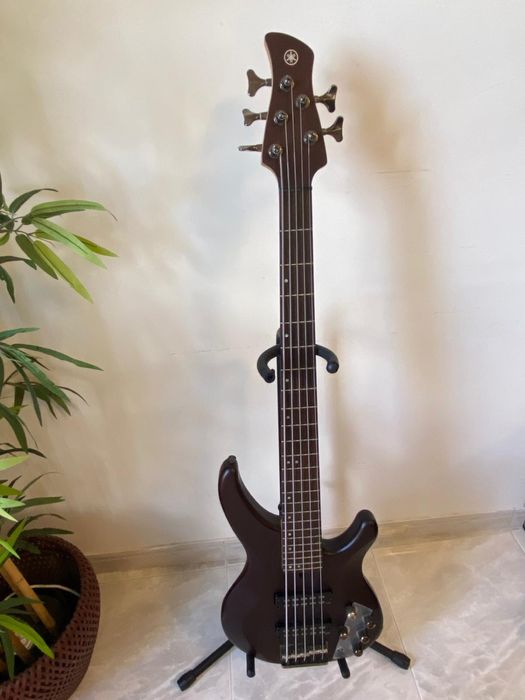 Yamaha + Ampeg + Case