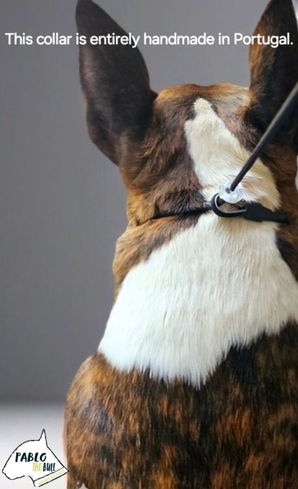 Coleira trela anti puxão slip lead cão