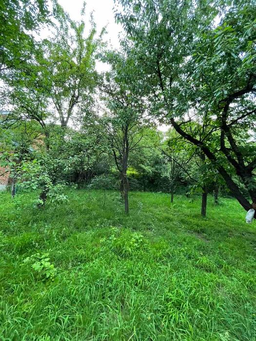 Будинок серед Карпат! 272 м² у с. Кути, можна під держ. програми _RR