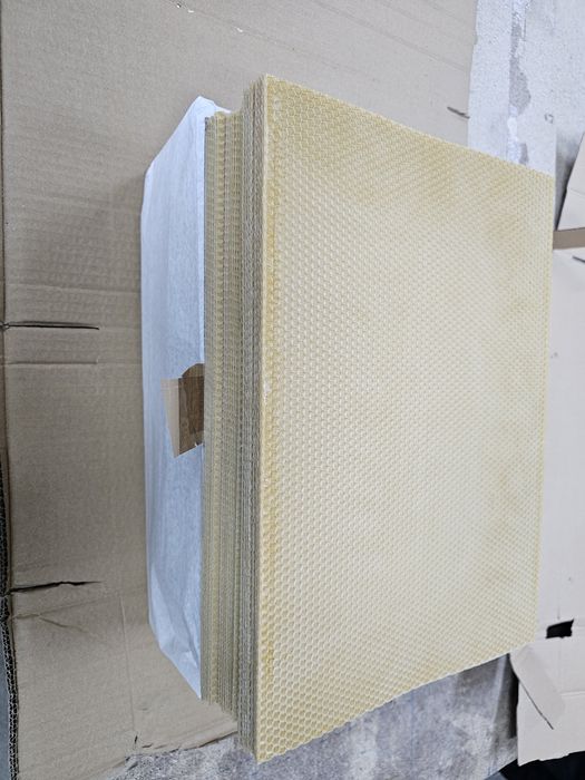 Węza pszczela warszawska poszerzana