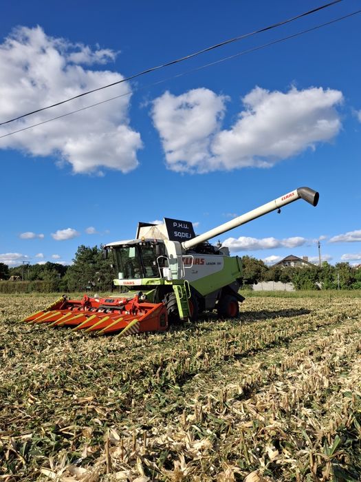 Przystawka do kukurydzy Olimac Drago 8 rzedów claas capello dominoni conspeed