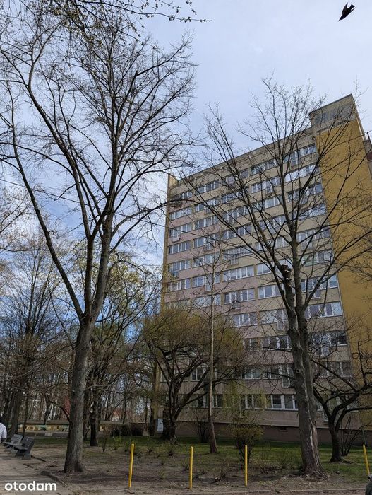 2 pokojowe, ścisłe, ale ciche  centrum Szczecina