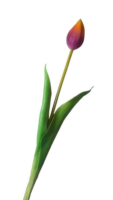 Tulipan tulipany silikonowe gumowe jak żywe 40 cm kolory