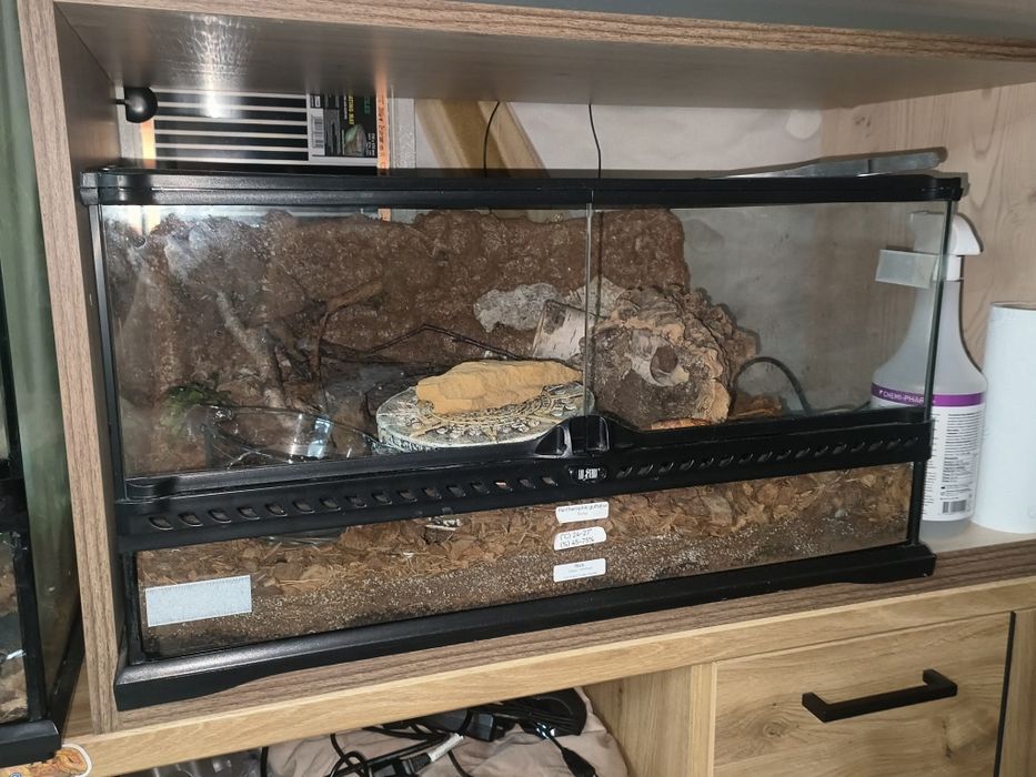 Terrarium Exoterra 60x45x30