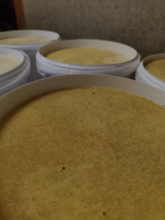 Продам мед з соняшника