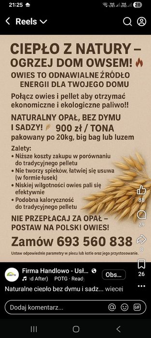 Owies Zbiór 2026