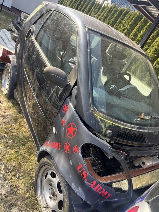 Smart na czesci  lub w calosci