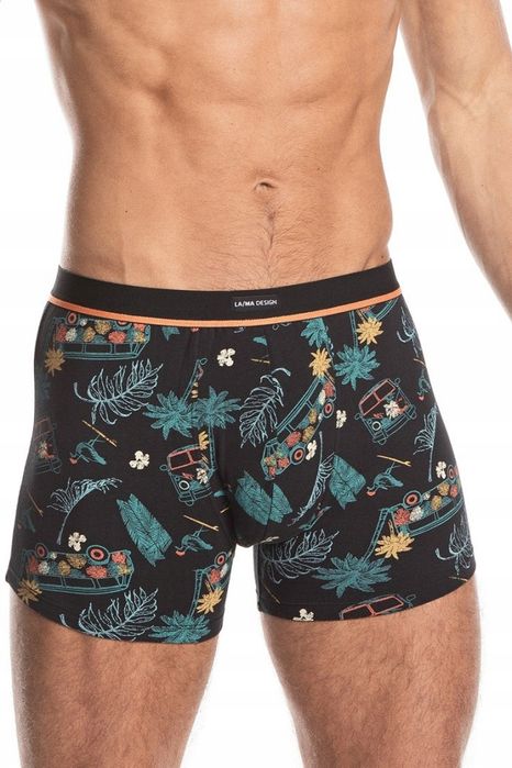 Lama Bokserki Męskie Wielokolorowe R. L