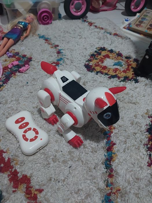 Interaktywny piesek robot do programowania