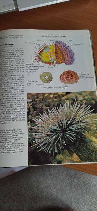 Livro Enciclopédia da Vida Animal