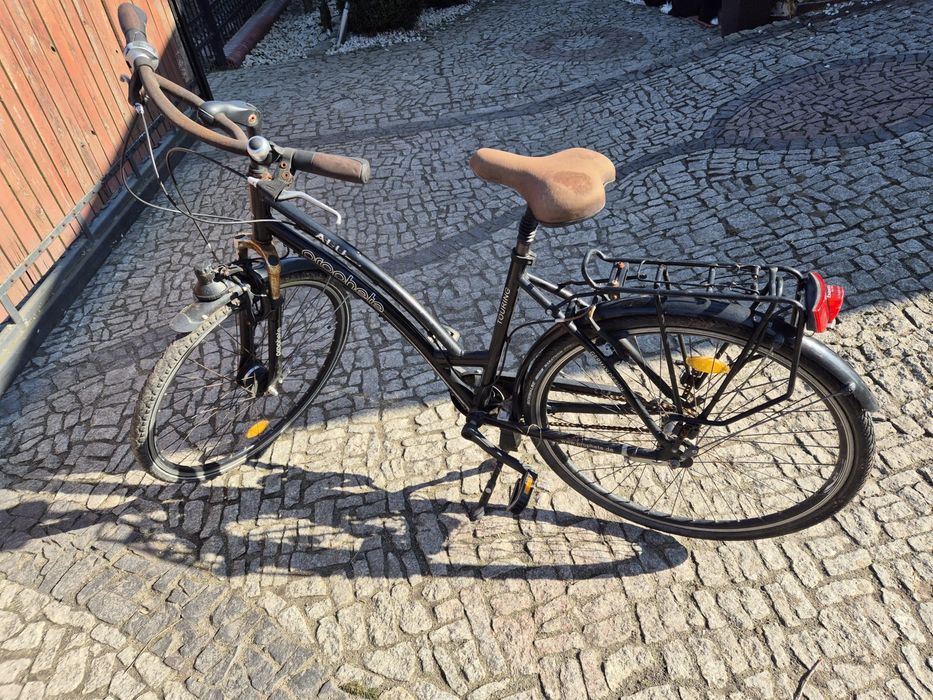 Rower Damka prophete 28