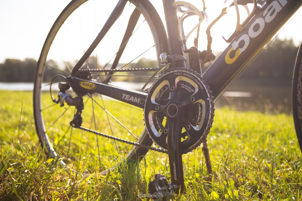 Rower Boardman Team C