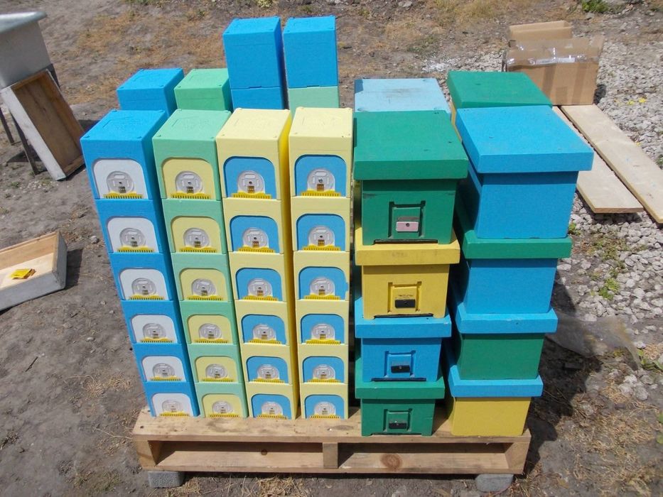 Продаж купівля бджолопакетів та бджоломатики.