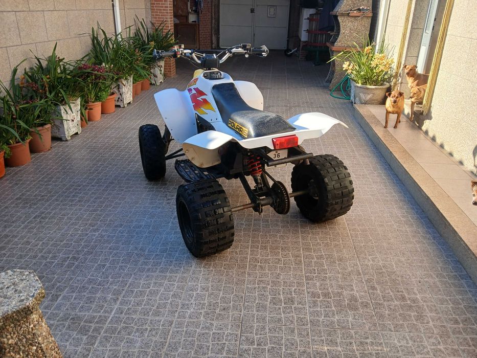 Moto4 polaris trall blezer