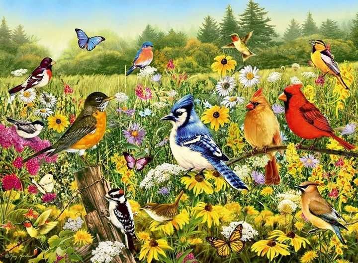 Puzzle Ravensburger Birds in the Meadow/ Ptaki na łące 500 elementów