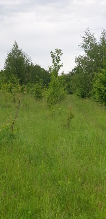 Продаж. Ділянка 20 сот, р-н підвісного моста.