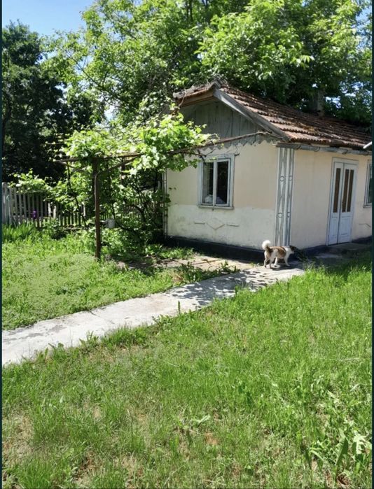 Продам будинок с.Заболотвів