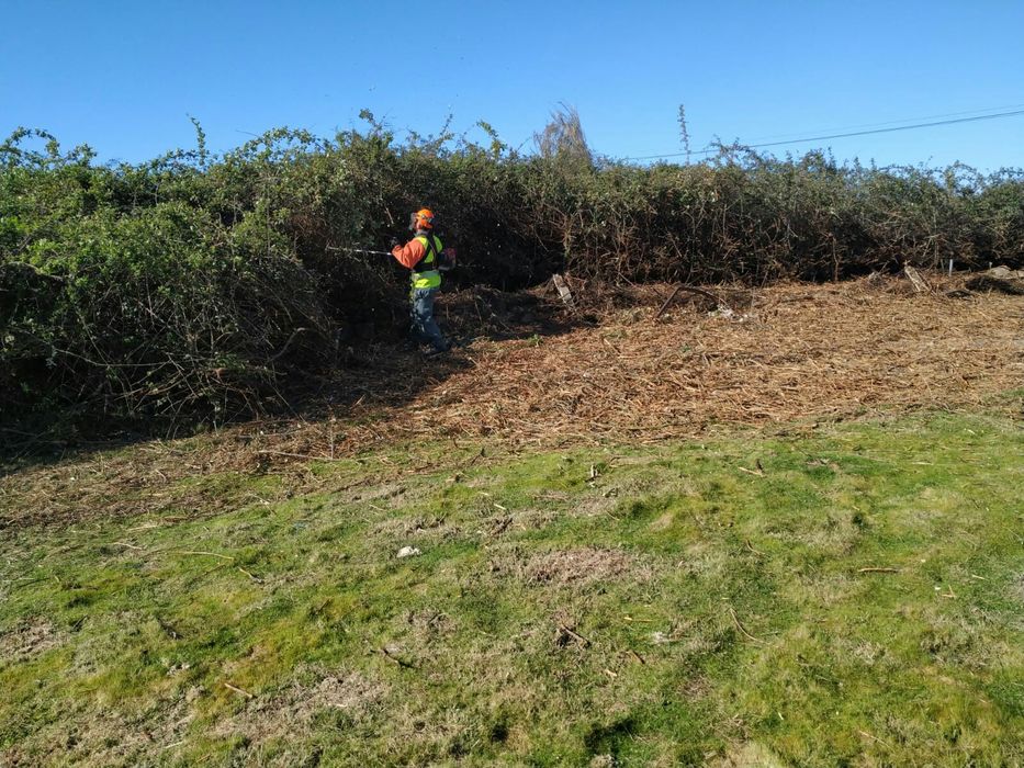 Limpezas agrícolas, lavouras e prestação de serviços