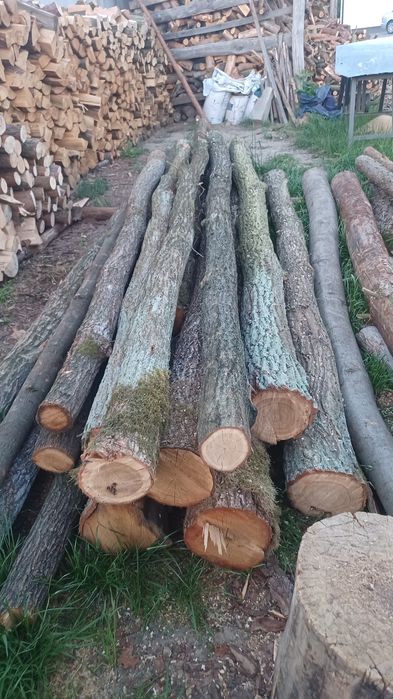 Steple,  okrąglaki  do wykonania huśtawki dębowe