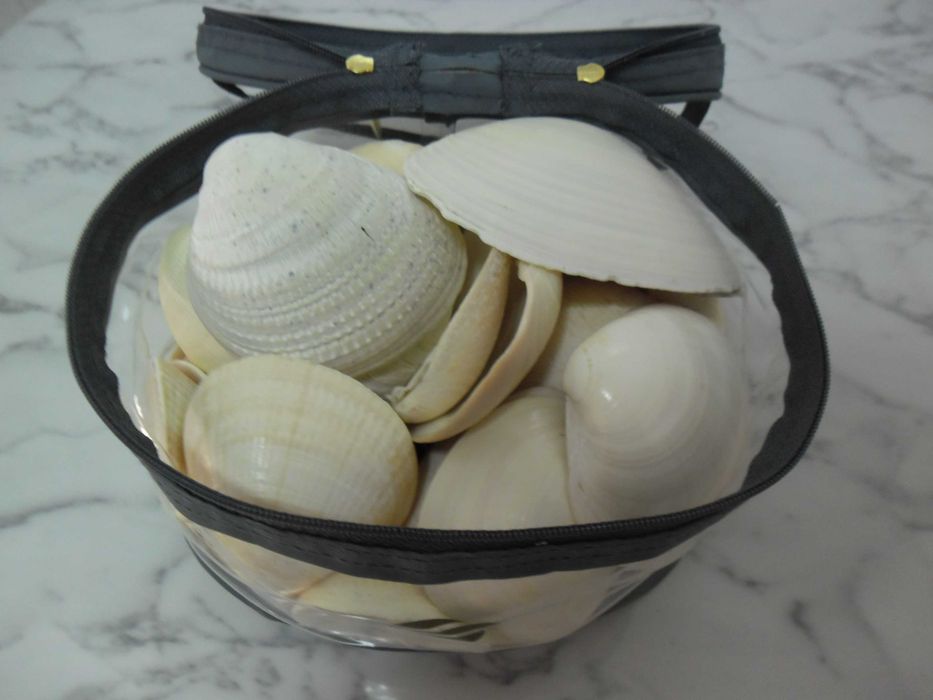 Bolsa cheia de conchas