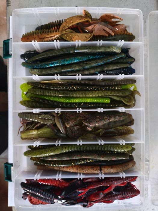 Amostras pesca variadas