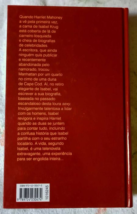 Isabel e a cama de Elinor Lipman