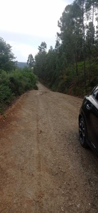 Terreno Rústico com 17500 mts na Sertã