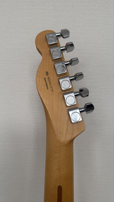 Fender Player Telecaster MN PWT