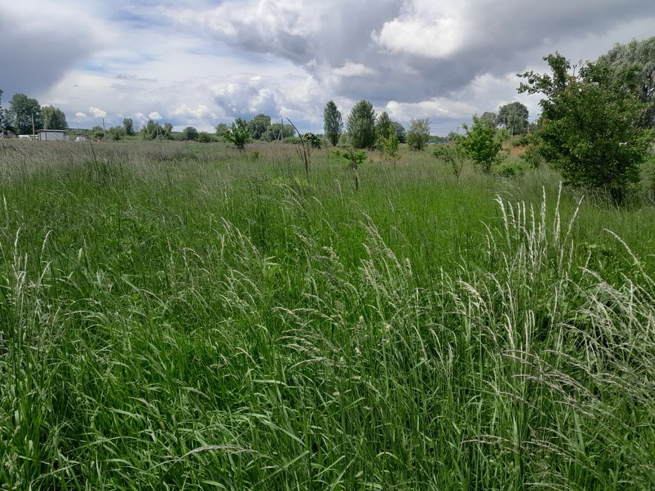 Продаж земельної ділянки 12 соток, с.Демидів, Вишгородський район, Київська область