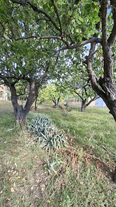 Продам дачу  Отрадное