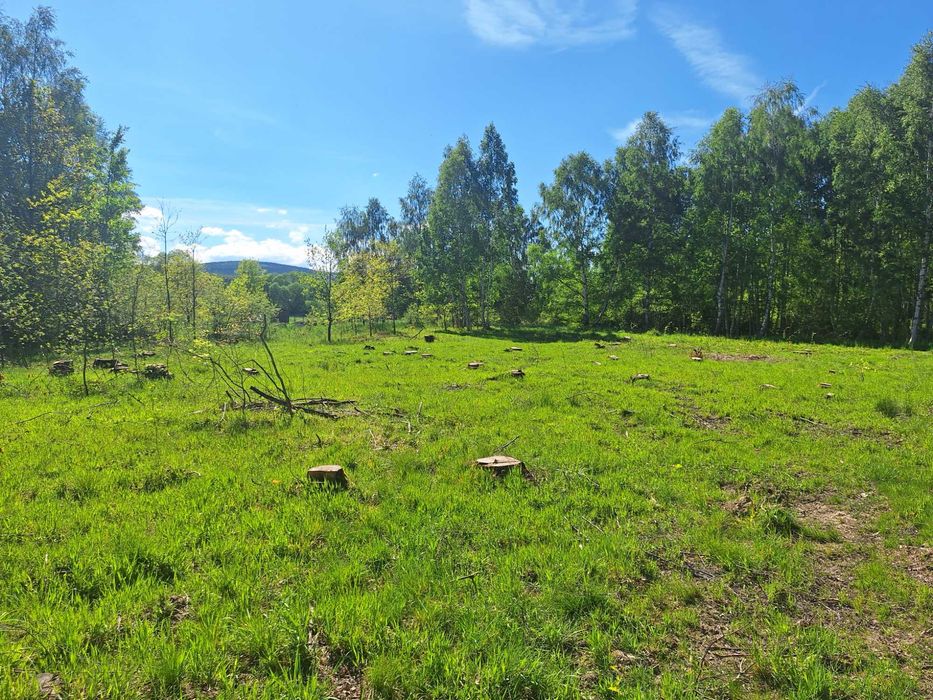 Działki w Małej Kamienicy