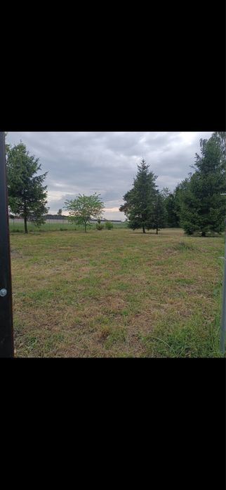 Dzierżawa działki, Wynajmę działkę, teren, plac. Sowice