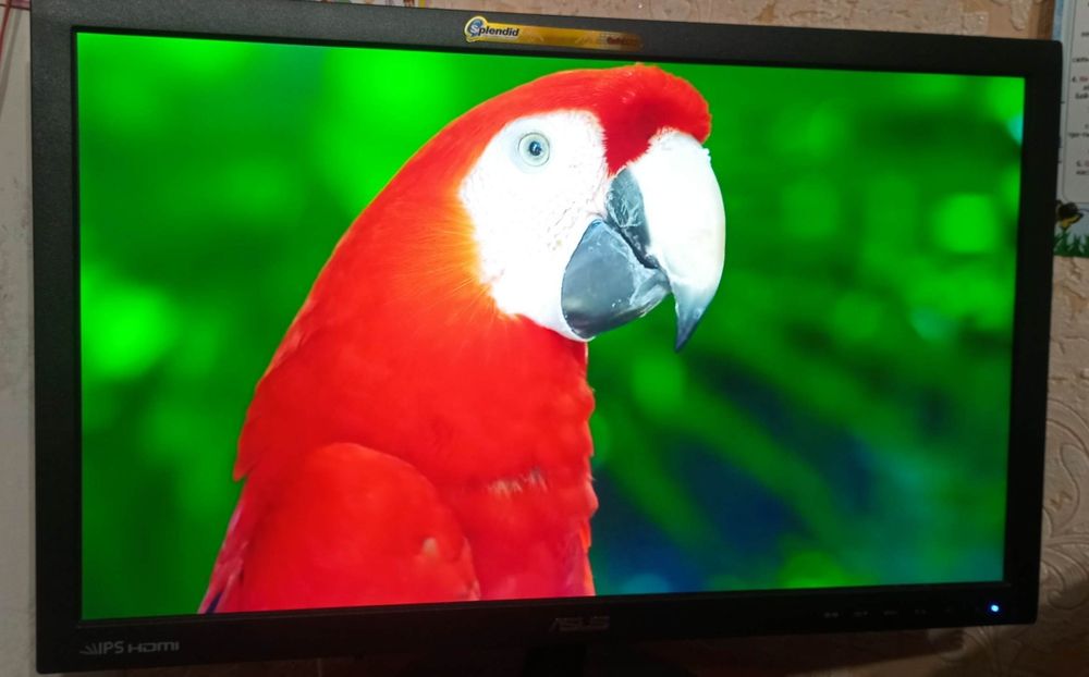 Продам монітор 23 дюйми Asus