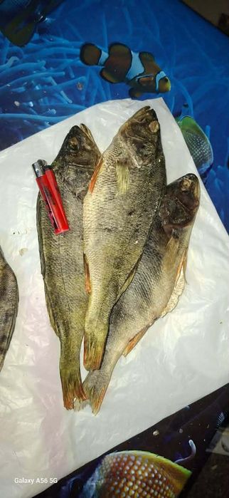 Рыба вялена,сушена  асортимент!!