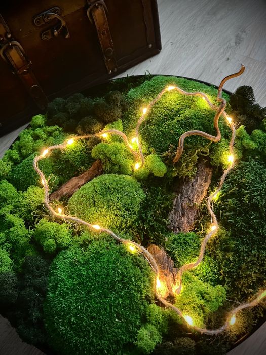 Obraz z mchu koło metal loft żywy mech chrobotek