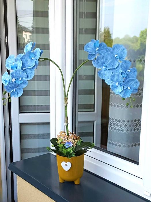 Orchidea, storczyk błękitny, gumowy 2 pędowy.