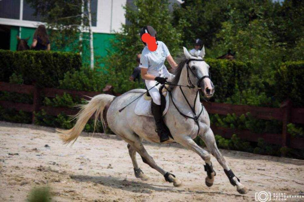 Sprzedam Klacz Małopolska