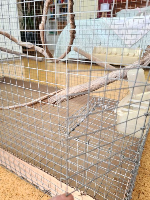 Gaiola Média/Grande para Aves + Acessórios e Ninho Incluídos
