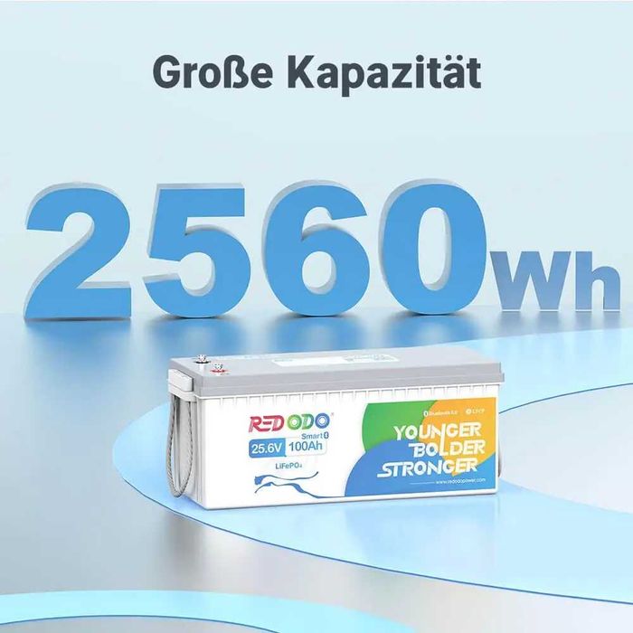 Redodo 24V 100Ah battery LiFePO4 Bluetooth BMS Smart