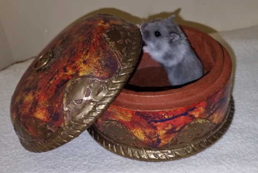 Винтажная старовинная шкатулка для ювелирных изделий из латуни, дерева